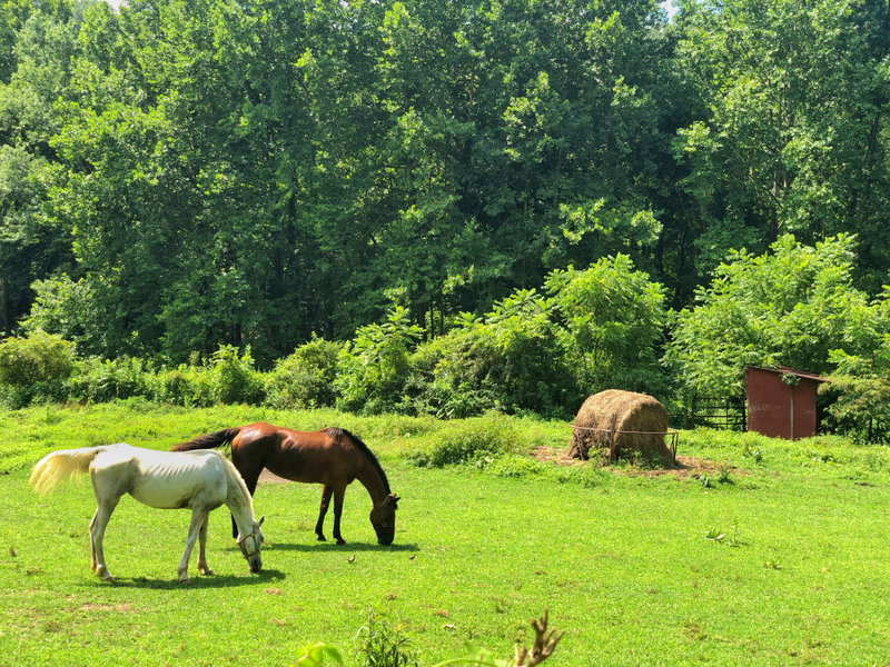 Illustration for article titled Pics from southern Indiana